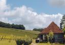 Wiston Estate's quintessential English landscape. Image: Wiston Estate