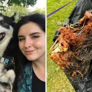 Nicole O’Brien with her dog (left) and the raw meat with spiked needles and mesh (right)