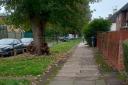 Waltheof Gardens Tottenham shooting crime scene