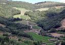 Patchwork of vineyards in southern France.