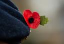 There is a host of Remembrance events in north London