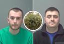 Drug dealers jailed after huge cannabis farm discovered