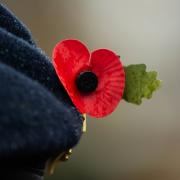 There is a host of Remembrance events in north London