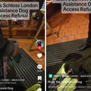 Albert Schloss: Assistance dog refused access downstairs in TikTok